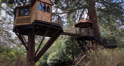 Gothic High Rise Tree House Close Elevation