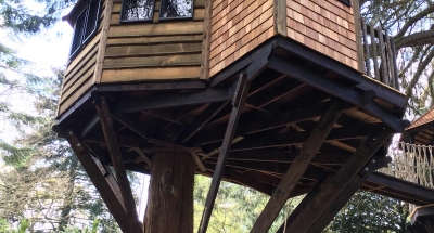 Gothic High Rise Tree House