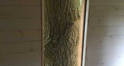 Bluebell House Treehouse Internal View