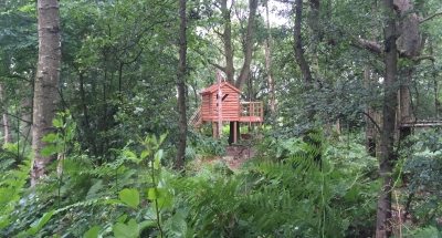 Bluebell House Treehouse Distance View